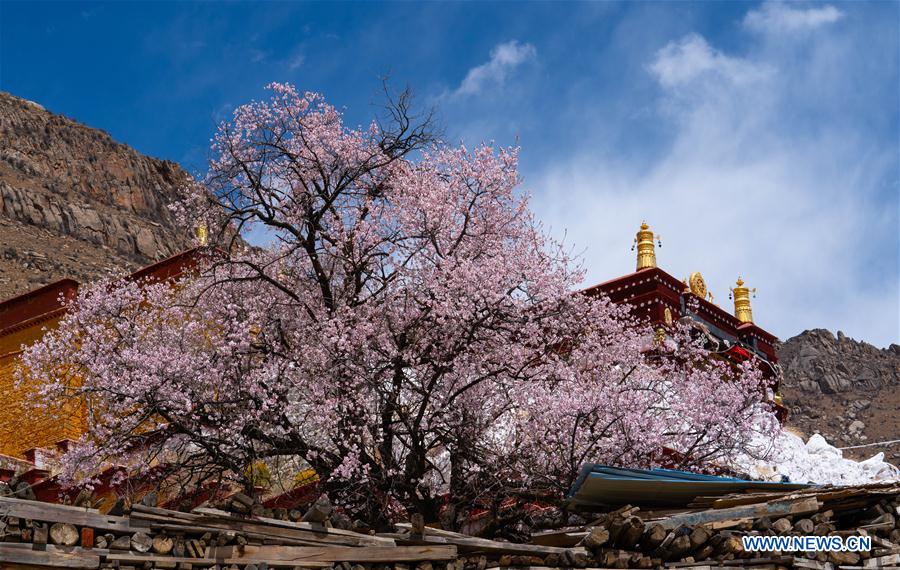 CHINA-TIBET-PABONKA HERMITAGE-SCENERY (CN)