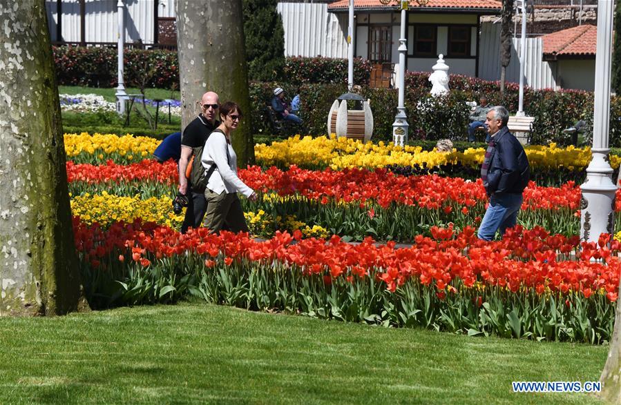 TURKEY-ISTANBUL-GULHANE PARK-TULIPS