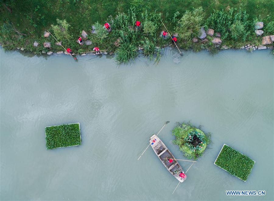 (EXPO 2019)Xinhua Headlines: Xi Focus: Xi leads green development as world's largest horticultural expo opens