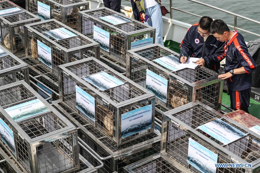 CHINA-LIAONING-DALIAN-RARE SEALS-RELEASE (CN)