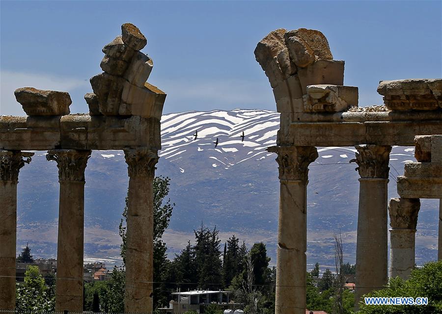 LEBANON-BEKAA VALLEY-SCENERY