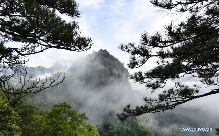 CHINA-SHAANXI-HANZHONG-SCENERY (CN)