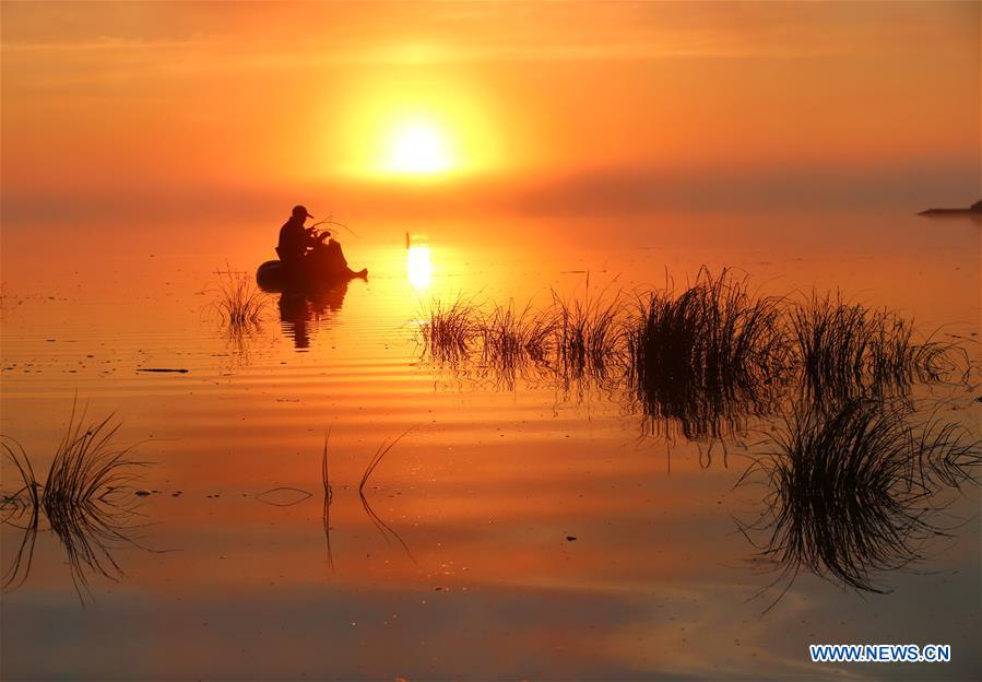 CHINA-HEILONGJIANG-WETLAND PROTECTION (CN)