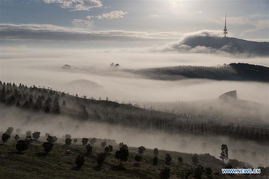 AUSTRALIA-CANBERRA-WINTER-MORNING SCENERY-FOG 