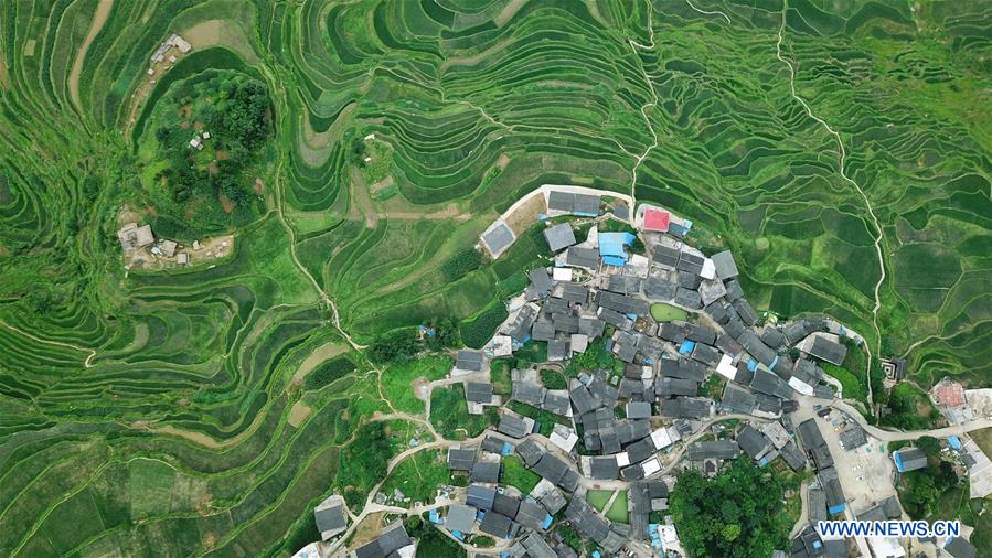 CHINA-GUIZHOU-DANZHAI-TERRACED FIELD-SCENERY (CN)