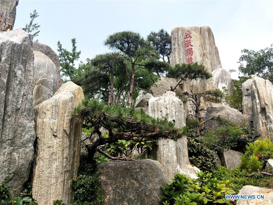 (BeijingCandid)CHINA-BEIJING-HORTICULTURAL EXPO (CN)