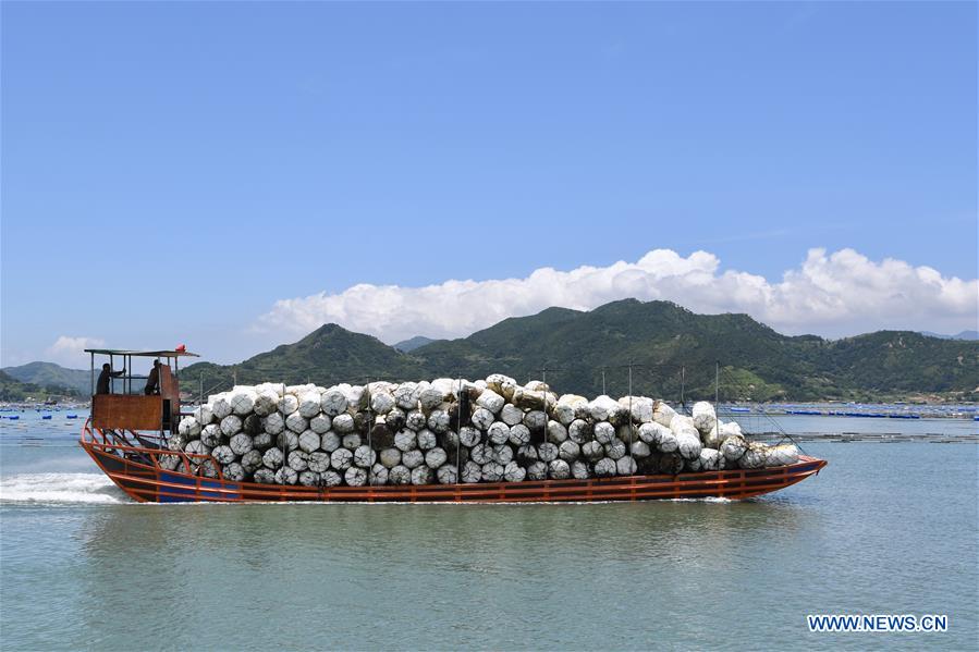 CHINA-FUJIAN-XIAPU-MARICULTURE INDUSTRY (CN)