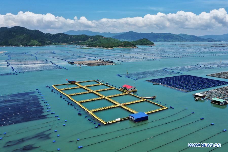 CHINA-FUJIAN-XIAPU-MARICULTURE INDUSTRY (CN)