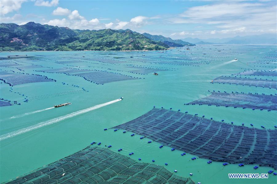 CHINA-FUJIAN-XIAPU-MARICULTURE INDUSTRY (CN)