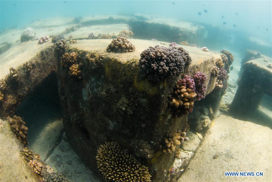 CHINA-HAINAN-BOUNDARY ISLAND-DIVING (CN)