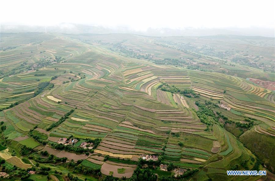 CHINA-GANSU-HUINING-TERRACED LANDS IN RAIN (CN)