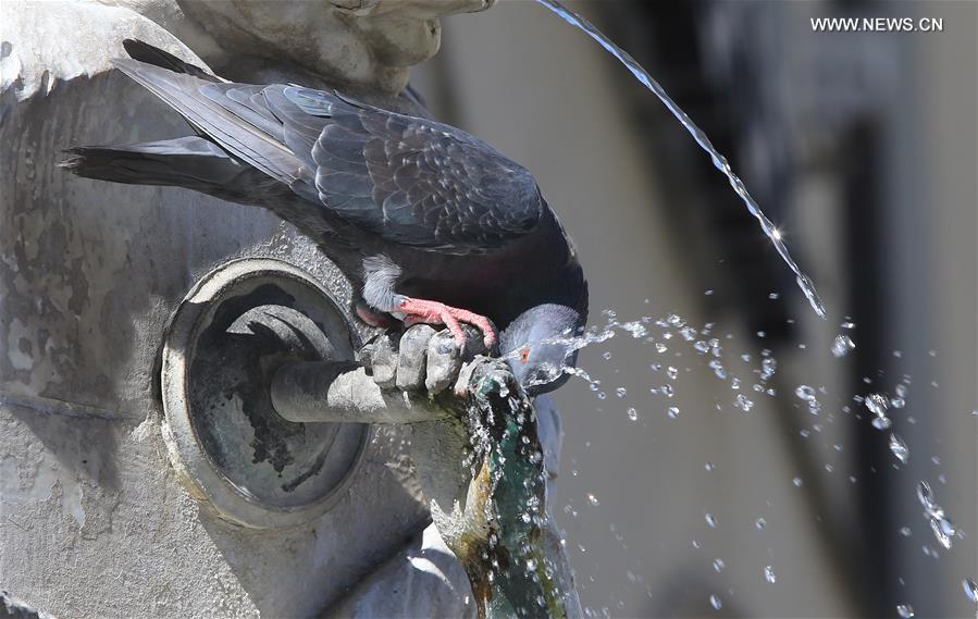 GERMANY-MUNICH-HEATWAVE