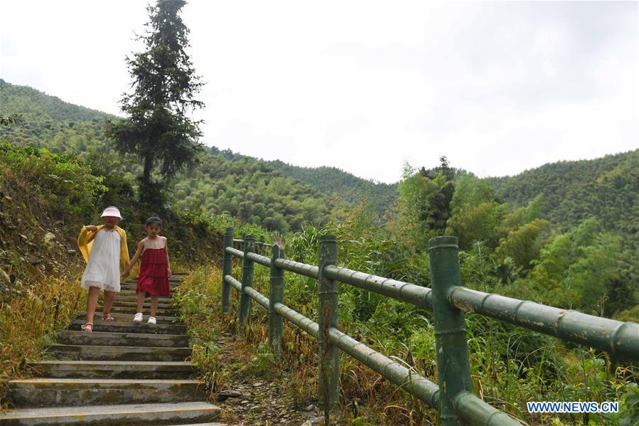 CHINA-ANHUI-BAMBOO FOREST-SCENERY (CN)