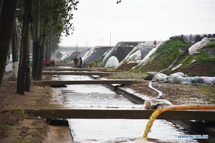 CHINA-SHANDONG-SHOUGUANG-TYPHOON-FLOOD-AFTERMATH (CN)