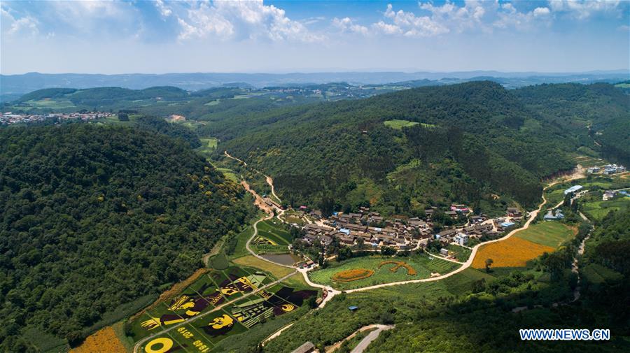 CHINA-YUNNAN-YILIANG-PADDY FIELDS (CN)