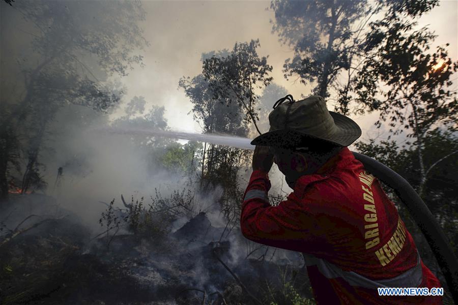 INDONESIA-SOUTH SUMATRA-FIRE