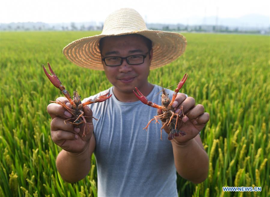 CHINA-ZHEJIANG-HUZHOU-AGRICULTURE-POLYCULTURE (CN)