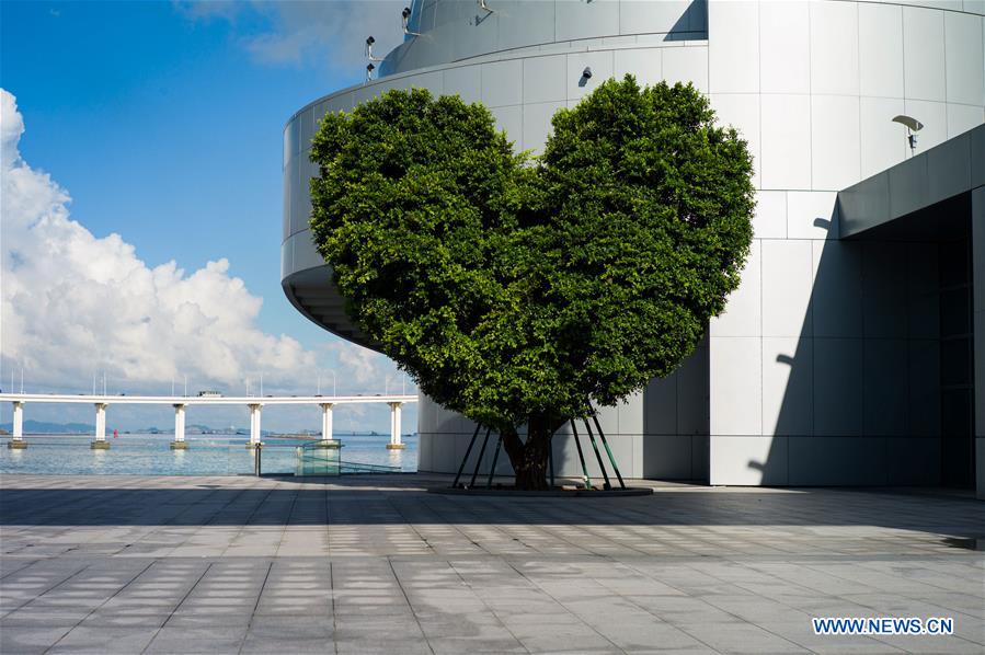 (EcoChina)CHINA-HORTICULTURAL EXPO-MACAO (CN)