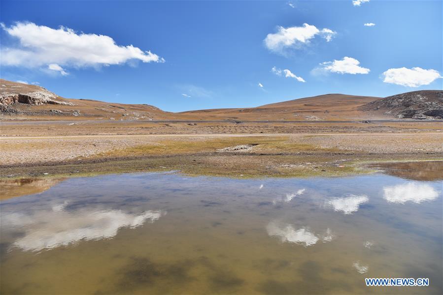 CHINA-TIBET-AUTUMN SCENERY (CN)