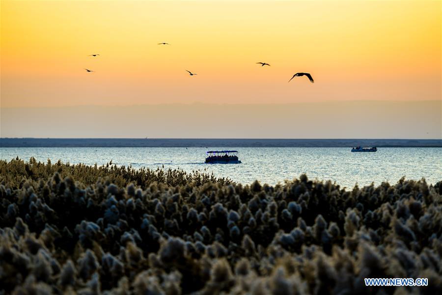 CHINA-INNER MONGOLIA-JUYANHAI LAKE-SCENERY (CN)