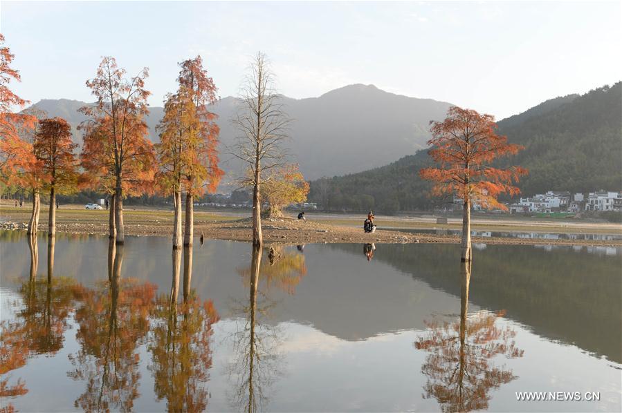 CHINA-ANHUI-HUANGSHAN-WINTER SCENERY (CN)