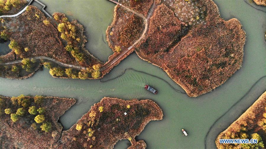 CHINA-SHANDONG-JINAN-WETLAND (CN)