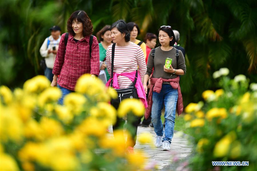 CHINA-TAIPEI-CHRYSANTHEMUM SHOW (CN)