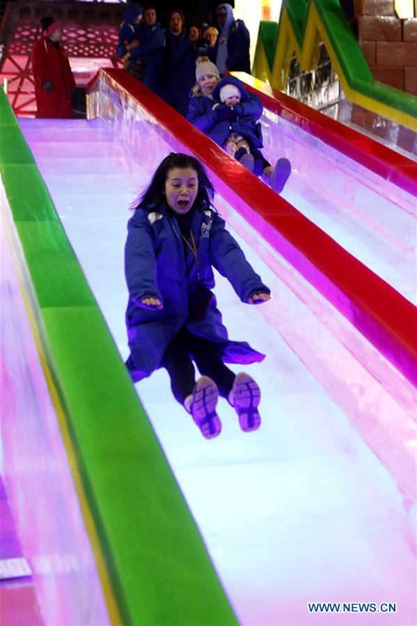 U.S.-TEXAS-GALVESTON-ICE SCULPTURE EXHIBITION