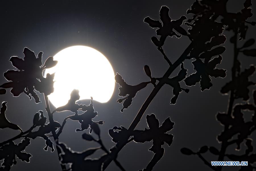 CHINA-FUJIAN-FUZHOU-PARTIAL SOLAR ECLIPSE (CN)