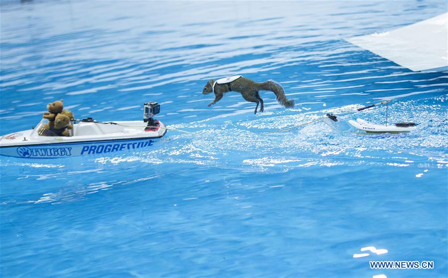 CANADA-TORONTO-WATER SKIING-SQUIRREL