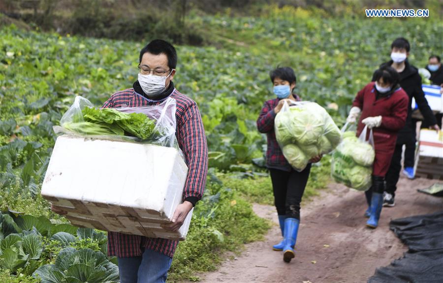 CHINA-CHONGQING-CORONAVIRUS-VEGETABLE SUPPLY (CN)