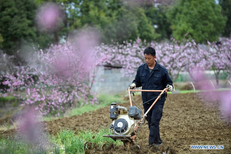 #CHINA-GUIZHOU-FARM WORK (CN)