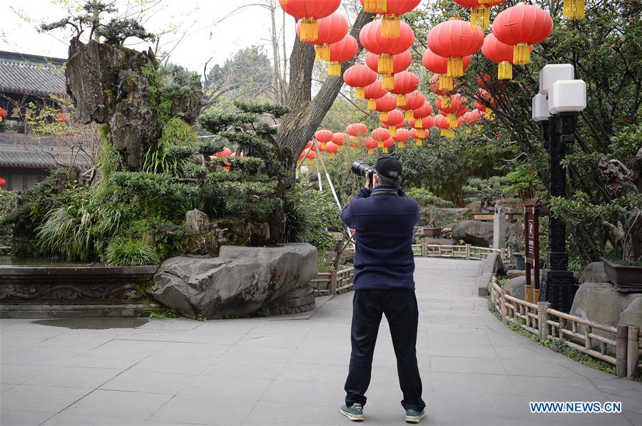 CHINA-SICHUAN-CHENGDU-SPRING VIEW (CN)