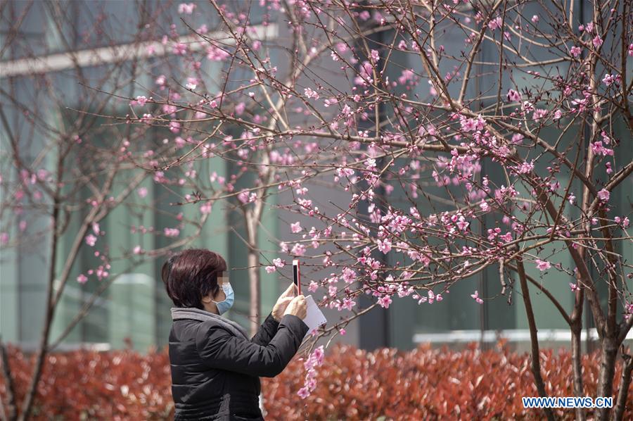 CHINA-WUHAN-COVID-19-SPRING-SCENERY (CN)