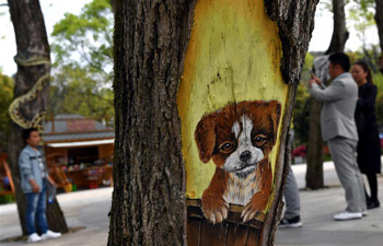 Fantastic "tree paintings" seen in east China's Anhui