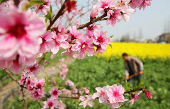 Picturesque rural scenery in Nantong City, east China's Jiangsu