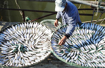 Harvest seen across China