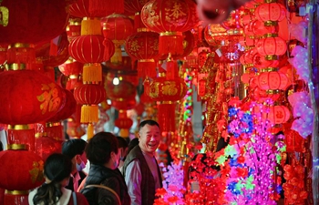 People buy new year decorations at market in Haikou, S China