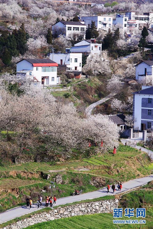 #（社会）（3）春暖花开迎客来