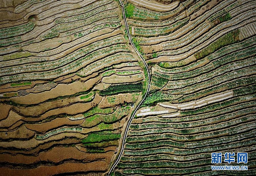 （春季美丽生态）（1）飞阅边关山田春景