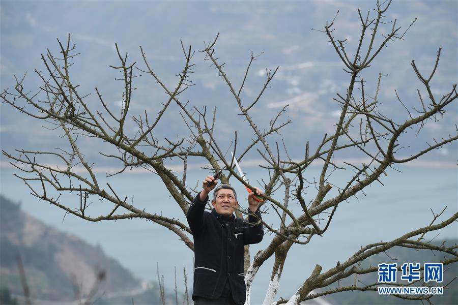 （两会前夕看落实·图文互动）（6）春风涌动两江潮——重庆落实习近平总书记全国两会重要讲话精神纪实