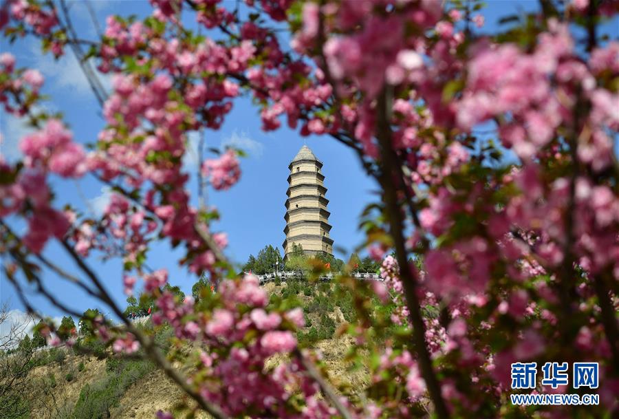 （图文互动）（2）今日延安：“对照过去我认不出了你”——红色圣地的生态交响曲