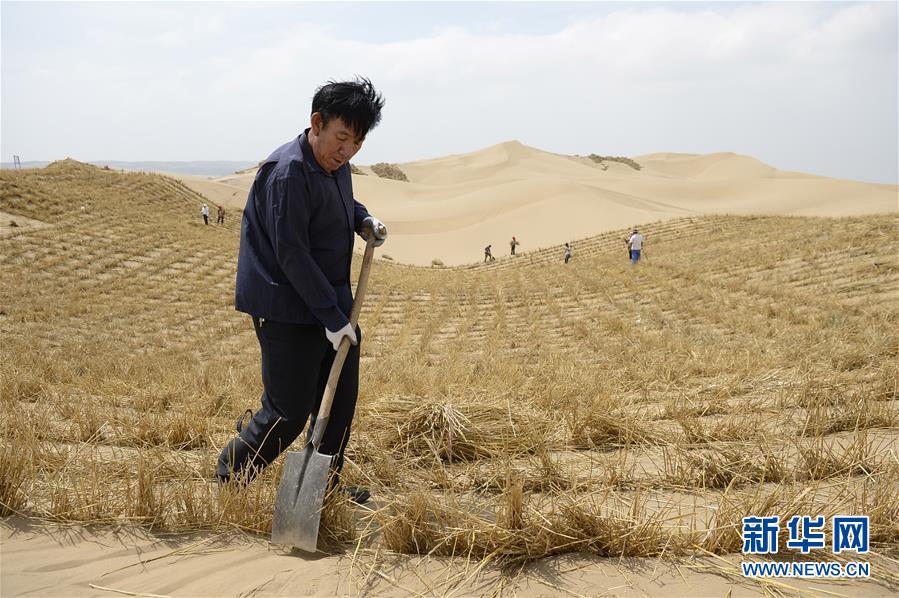 （权威访谈·聚焦中国经济亮点·图文互动）（9）防治土地荒漠化 推动绿色发展——专访国家林业和草原局副局长刘东生