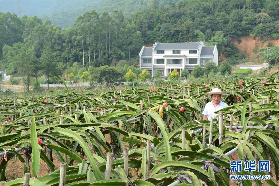 （在习近平新时代中国特色社会主义思想指引下——新时代新作为新篇章·总书记关心的百姓身边事·图文互动）（6）大污染变身“大宝藏”：治理畜禽粪污，他们这样干！