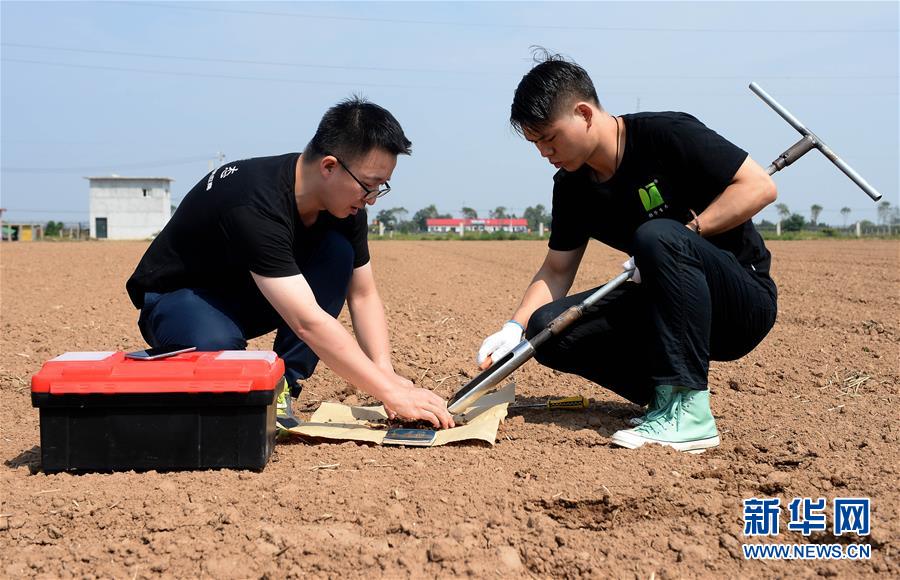 （在习近平新时代中国特色社会主义思想指引下——新时代新作为新篇章·总书记关心的百姓身边事·图文互动）（6）“农”字头照样“大”作为——丰收时节看涉农高校人才在希望的田野