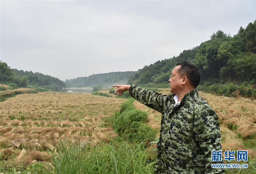 （代表委员履职·图文互动）（2）“我是农民代表，始终关注农村”——全国人大代表沈昌健的履职故事