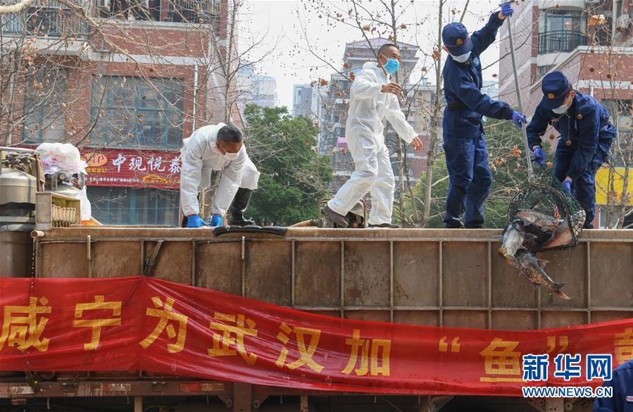 （新华全媒头条·图文互动）（12）从人民中汲取磅礴力量——习近平总书记同出席2020年全国两会人大代表、政协委员共商国是纪实