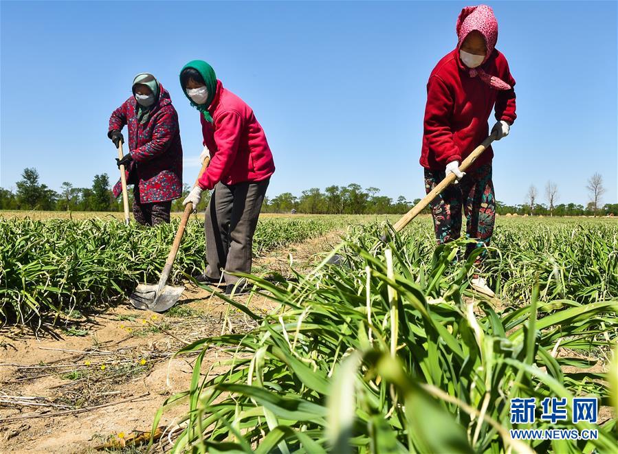 （新华全媒头条·图文互动）（17）从人民中汲取磅礴力量——习近平总书记同出席2020年全国两会人大代表、政协委员共商国是纪实