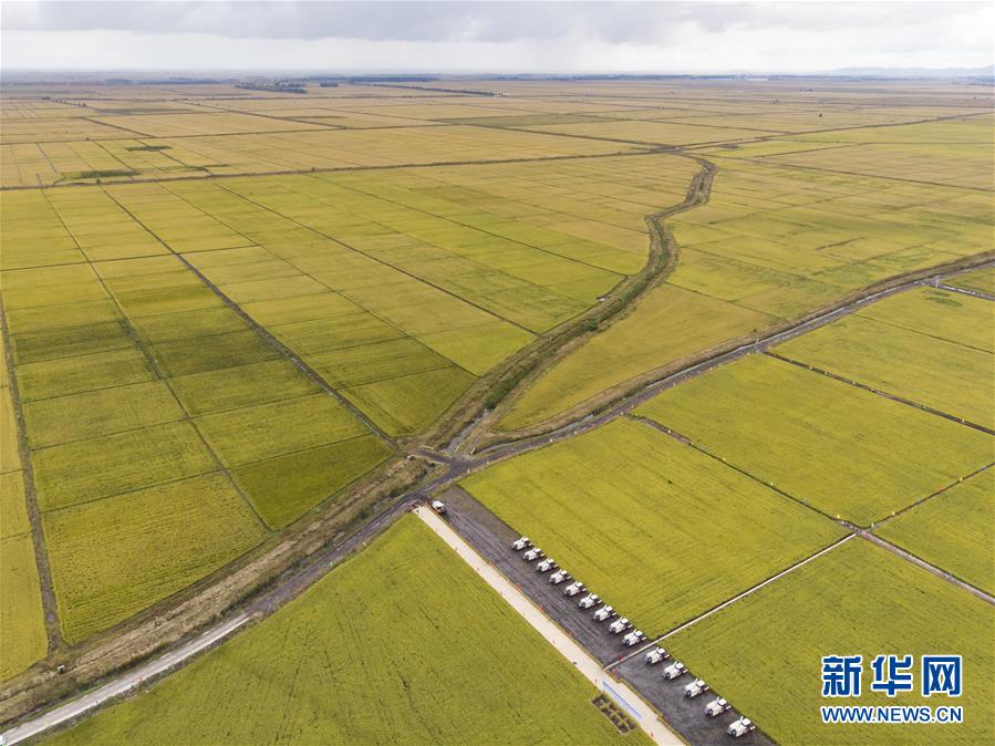 （新华全媒头条·图文互动）（2）天道酬勤的大地赞歌——写在第三个中国农民丰收节之际