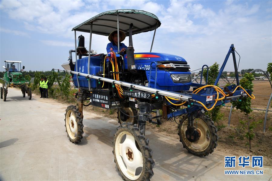 （在习近平新时代中国特色社会主义思想指引下——新时代新作为新篇章·习近平总书记关切事·图文互动）（8）新农事、新希望——夏收前田间新动态扫描